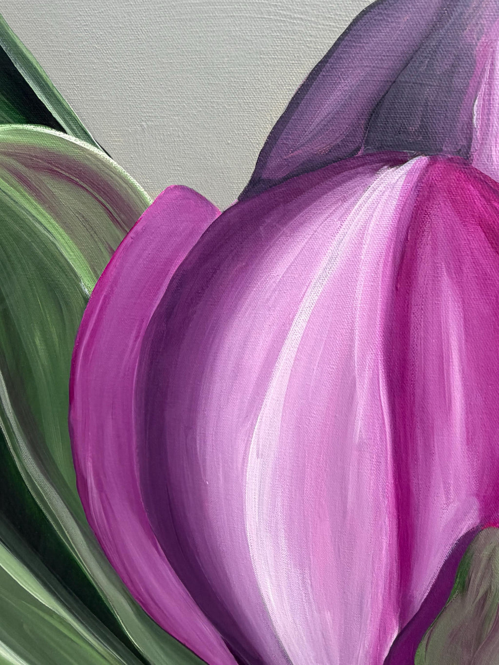 Magenta Magnolia, magnolia petal detail
