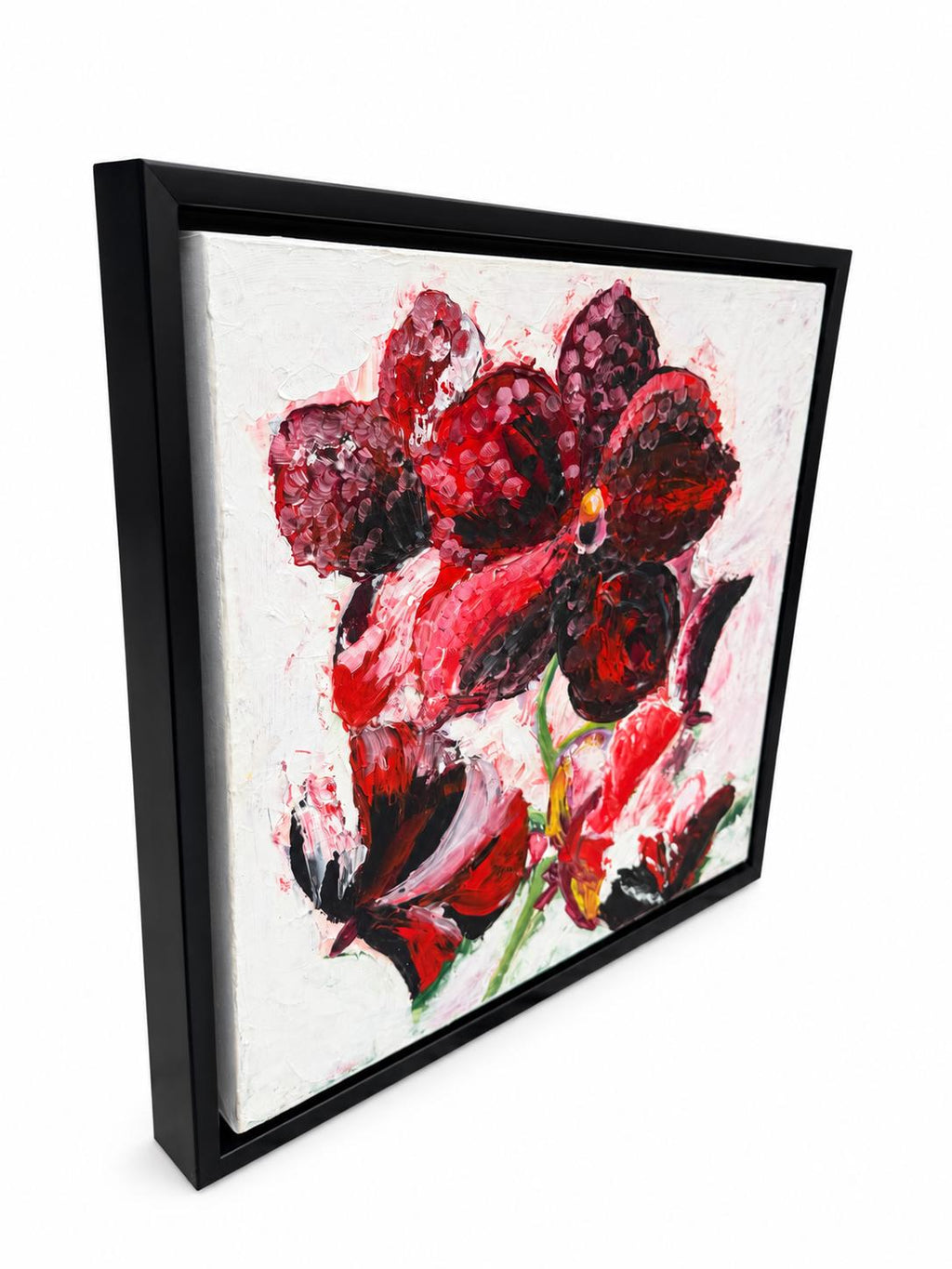 Red Orchid, angled framed view