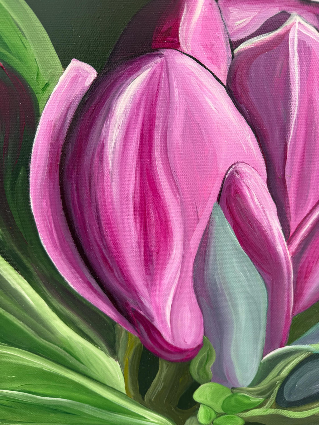 Raspberry Magnolia, magnolia bloom detail