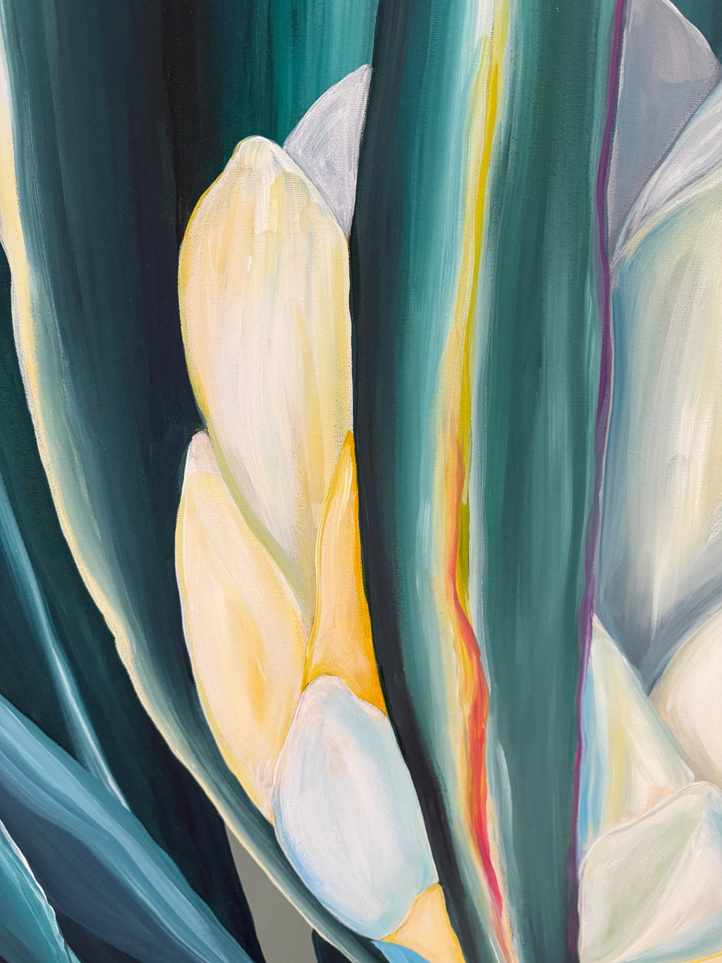 King Protea, petal detail