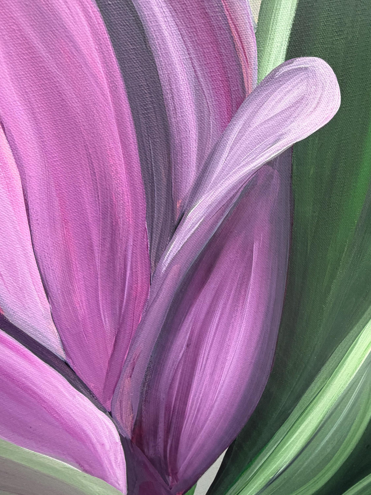 Magenta Magnolia, magnolia petal detail